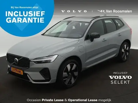 Used VOLVO XC60 Hybrid 2024 Ad 