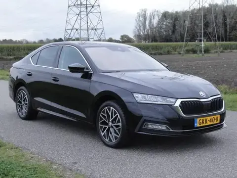 Annonce SKODA OCTAVIA Essence 2020 d'occasion 