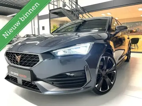 Annonce CUPRA LEON Hybride 2022 d'occasion 