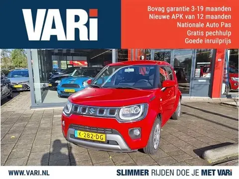 Used SUZUKI IGNIS Petrol 2020 Ad 