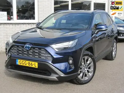 Annonce TOYOTA RAV4 Hybride 2023 d'occasion 