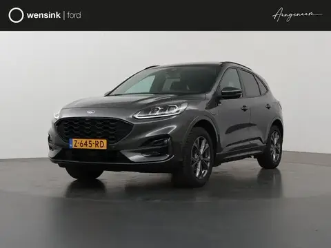 Used FORD KUGA Hybrid 2022 Ad 