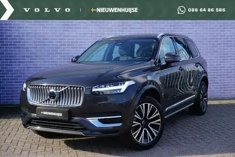 Used VOLVO XC90 Hybrid 2024 Ad 