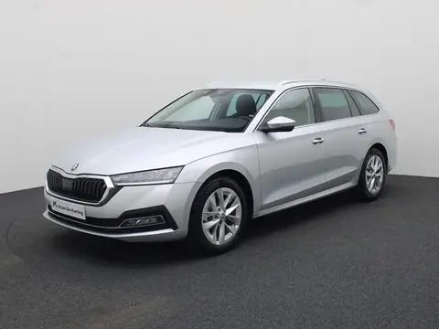 Used SKODA OCTAVIA Petrol 2024 Ad 