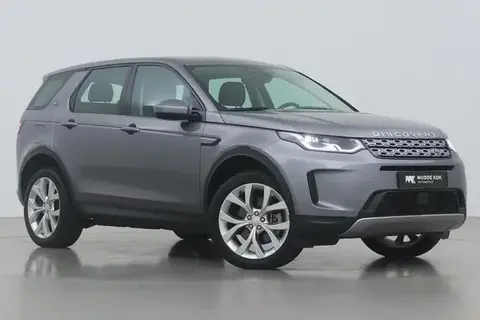 Used LAND ROVER DISCOVERY Hybrid 2023 Ad 