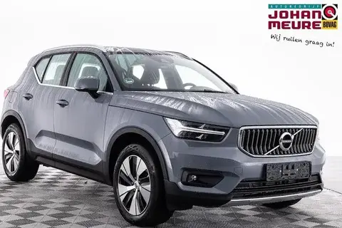 Used VOLVO XC40 Hybrid 2021 Ad 