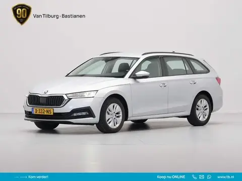 Annonce SKODA OCTAVIA Essence 2024 d'occasion 