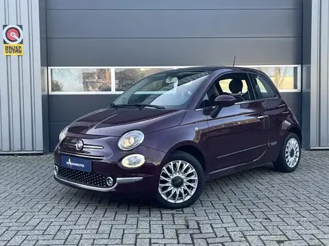 Used FIAT 500 Petrol 2017 Ad 