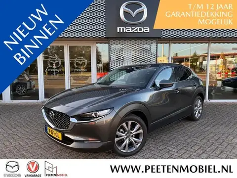 Used MAZDA CX-30 Hybrid 2021 Ad 