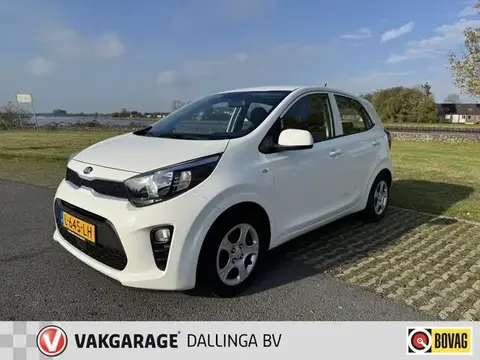 Used KIA PICANTO Petrol 2021 Ad 