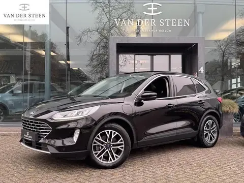 Annonce FORD KUGA Hybride 2020 d'occasion 