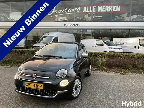 Annonce FIAT 500 Hybride 2021 d'occasion 