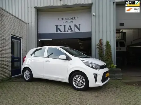 Annonce KIA PICANTO Essence 2021 d'occasion 