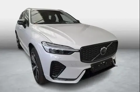 Annonce VOLVO XC60 Diesel 2023 d'occasion 