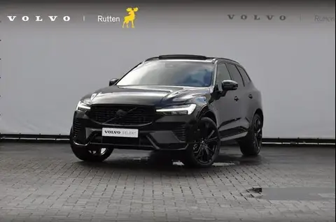 Used VOLVO XC60 Hybrid 2024 Ad 