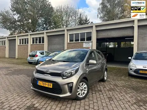 Used KIA PICANTO Petrol 2019 Ad 