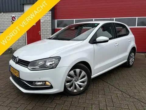 Used VOLKSWAGEN POLO Petrol 2016 Ad 