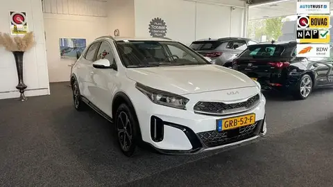 Annonce KIA XCEED Hybride 2024 d'occasion 