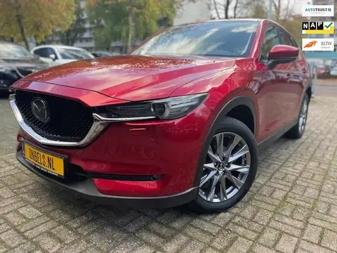 Used MAZDA CX-5 Petrol 2019 Ad 