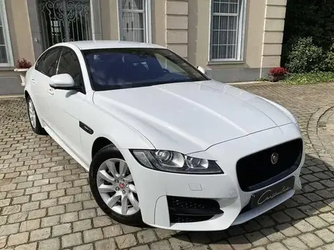 Used JAGUAR XF Diesel 2019 Ad 