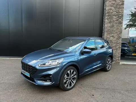 Annonce FORD KUGA Hybride 2023 d'occasion 