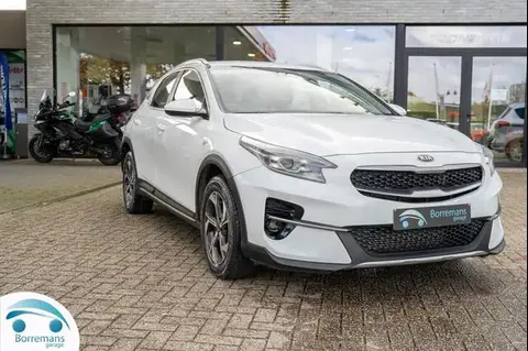 Annonce KIA XCEED Essence 2021 d'occasion 