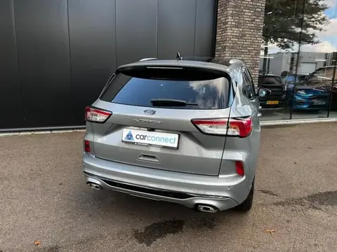 Used FORD KUGA Hybrid 2023 Ad 