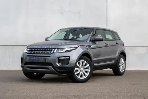 Annonce LAND ROVER RANGE ROVER EVOQUE Essence 2019 d'occasion 