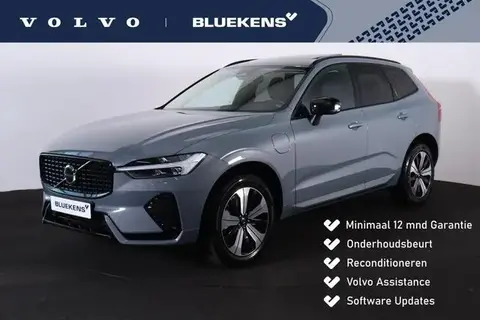 Annonce VOLVO XC60 Hybride 2023 d'occasion 