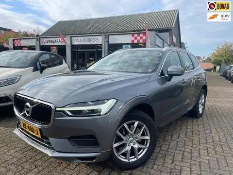 Annonce VOLVO XC60 Essence 2019 d'occasion 