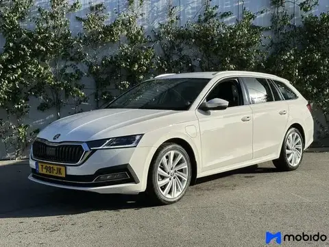 Annonce SKODA OCTAVIA Hybride 2021 d'occasion 