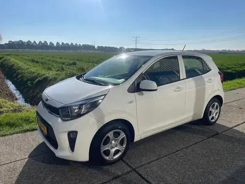 Used KIA PICANTO Petrol 2021 Ad 