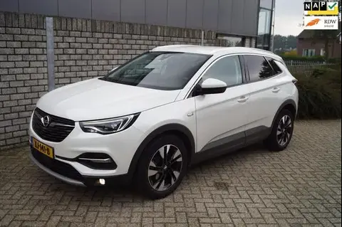 Used OPEL GRANDLAND Petrol 2019 Ad 