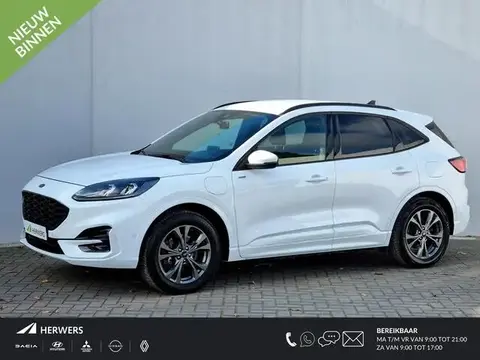 Used FORD KUGA Hybrid 2021 Ad 