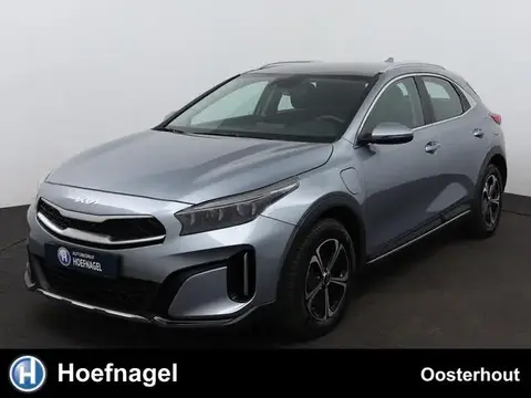 Annonce KIA XCEED Hybride 2023 d'occasion 