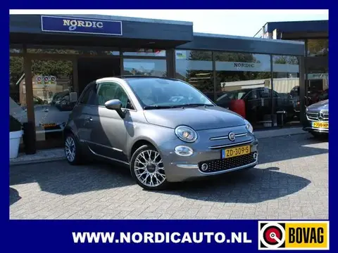 Used FIAT 500 Petrol 2019 Ad 