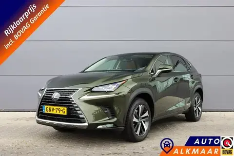 Used LEXUS NX Hybrid 2021 Ad 