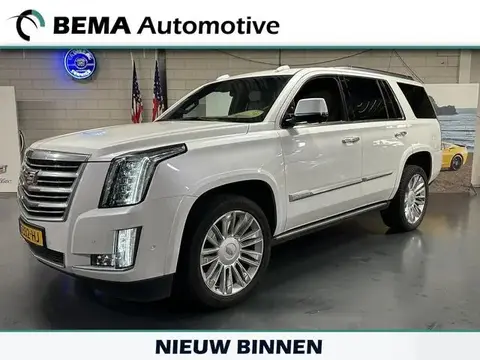 Used CADILLAC ESCALADE Petrol 2019 Ad 