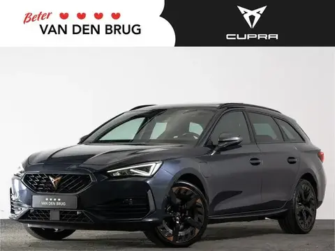 Used CUPRA LEON Hybrid 2021 Ad 