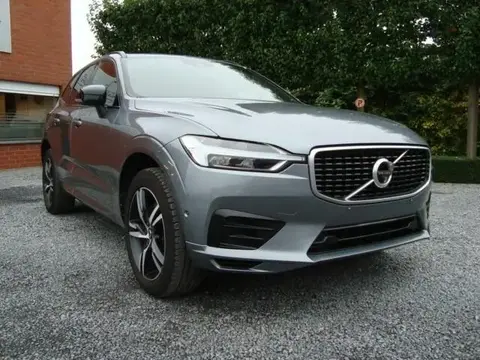 Used VOLVO XC60 Diesel 2019 Ad 