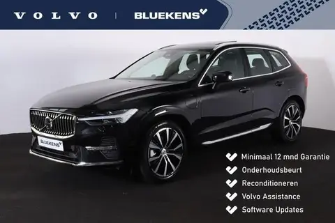 Annonce VOLVO XC60 Hybride 2023 d'occasion 