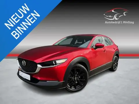 Annonce MAZDA CX-30 Essence 2021 d'occasion 