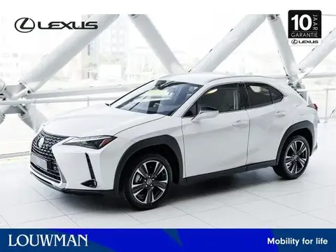 Used LEXUS UX Hybrid 2023 Ad 