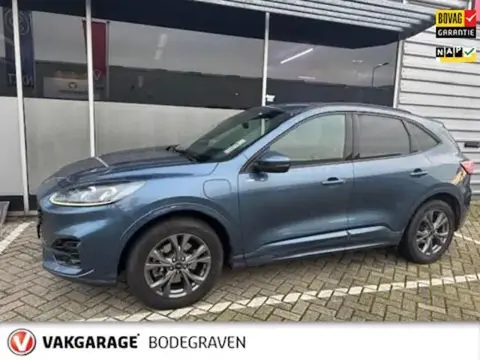 Used FORD KUGA Hybrid 2021 Ad 