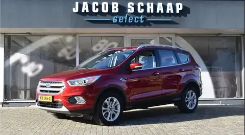 Used FORD KUGA Petrol 2017 Ad 