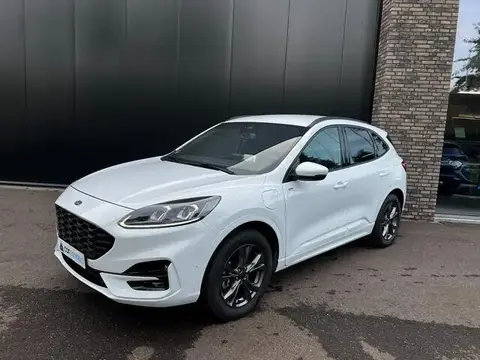 Used FORD KUGA Hybrid 2021 Ad 