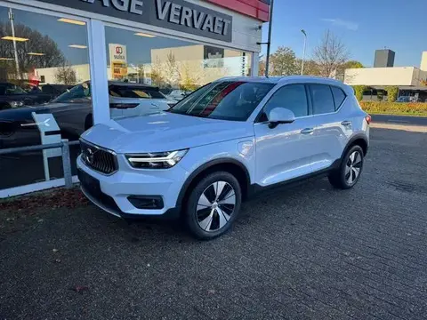 Annonce VOLVO XC40 Hybride 2020 d'occasion 