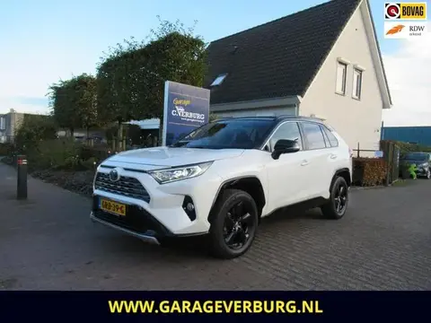 Used TOYOTA RAV4 Hybrid 2019 Ad 