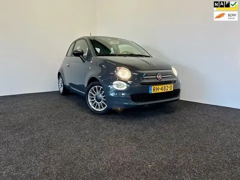 Used FIAT 500 Petrol 2017 Ad 