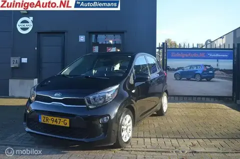 Used KIA PICANTO Petrol 2019 Ad 